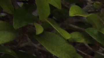 Hay medio millón de plazas de trabajo en el Censo.