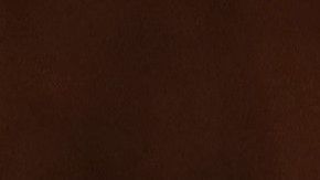 Elsa se convierte en el primer Meme del 2020.