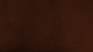 Elsa se convierte en el primer Meme del 2020.