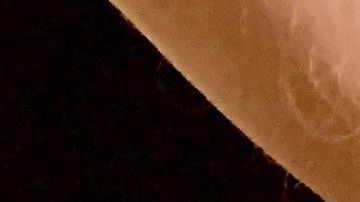 La agresora fue detenida pero quedó libre tras pagar una fianza.