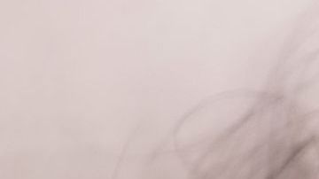 shutterstock_245721847