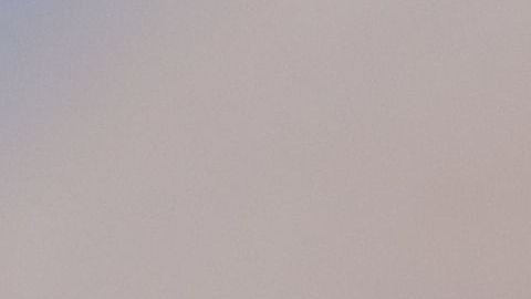 shutterstock_271688954