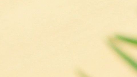 shutterstock_329042267