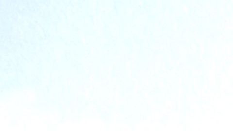 shutterstock_372310192