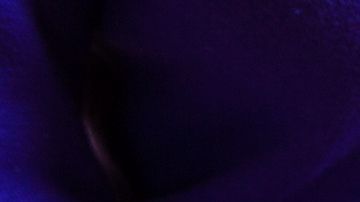 Realiza compras inteligentes, lee las etiquetas de los productos y cuida tu peso.