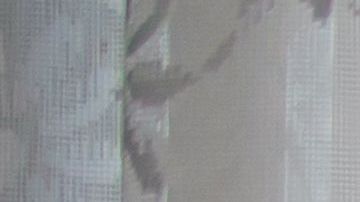 shutterstock_457888804