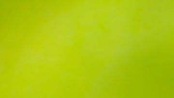 shutterstock_509945320