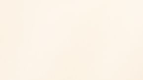 shutterstock_531219046