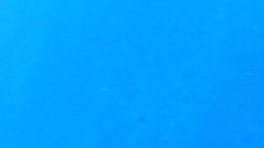 El mar es de los más afectados.