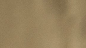 shutterstock_620932439