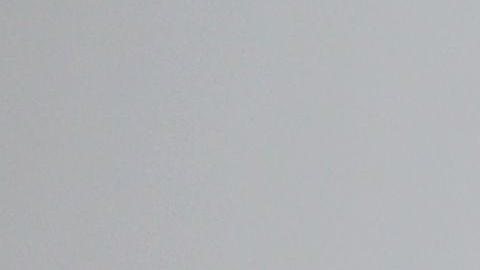 shutterstock_649269130