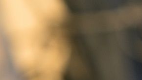 El 31 de diciembre de 2019, WhatsApp batió récord.