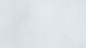 shutterstock_705668380