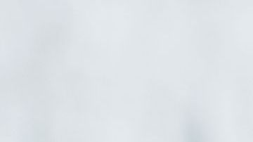 shutterstock_705668380