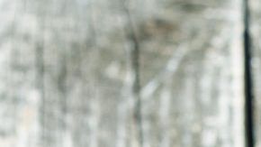 shutterstock_710348989