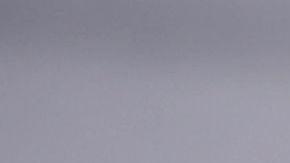 shutterstock_786017698