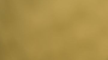 Una sentencia justa.