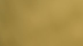 La sentencia valoró el estado de salud de la mujer.