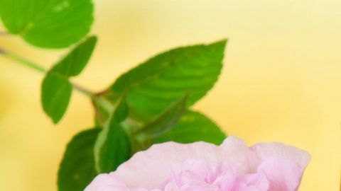 Seguir una alimentación saludable y evitar llevar una vida sedentaria es clave en el tratamiento de la diabetes.