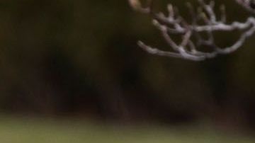 No existía una buena relación entre el presidente y el escolta de los Lakers.