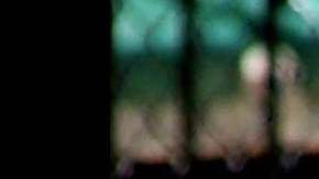 Steve Irwin, "Cazador de cocodrilos"