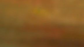 Un sumiller es uno de esos empleos poco comunes en los que se puede ganar una buena cantidad de dinero.