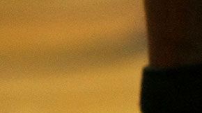 La empresas están tomando medidas para que los precios se mantengan como antes.