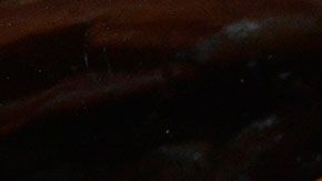 Prácticos consejos para cocinar el tocino con diferentes técnicas.