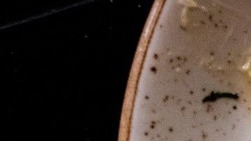 Cambia tus hábitos para evitar enfermedades y tener un mejor hogar.