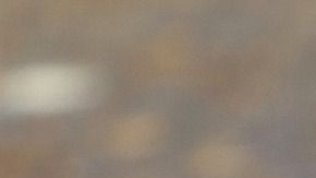 Varias aerolíneas denunciaron que pasajeros trataron de viajar con pavos, zarigüeyas o arañas.