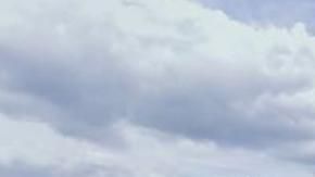 Universidad de Houston