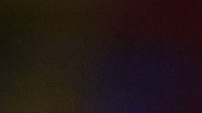 El video fue compartido por la cuenta oficial del equipo holandés.