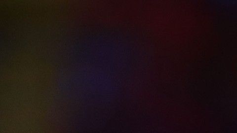 El video fue compartido por la cuenta oficial del equipo holandés.