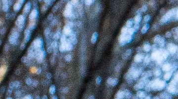 El menos 230 personas habían enfermados en todo Nueva York a causa del vapeo, hasta el 14 de enero.