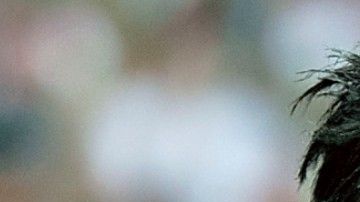 El derbi de El Tráfico será protagonizado entre dos mexicanos.