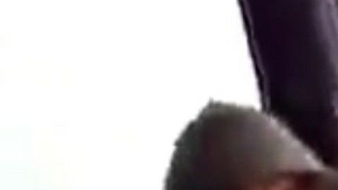 VIDEO: Halcón del Cártel del Golfo así avisa de la presencia demilitares cerca de la frontera
