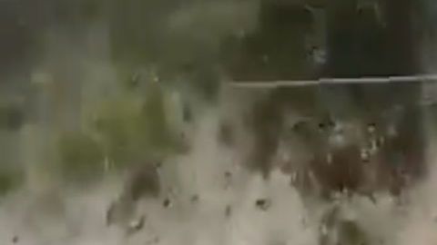 VIDEO: Soldados mexicanos agredidos con piedras y cohetones por fumigar plantío de amapola