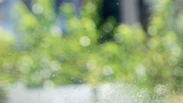 Los vidrios quedan limpios y brillantes cuando se limpian con una mezcla de vinagre y agua.