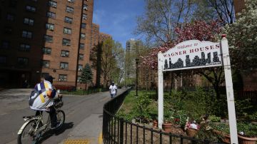 Complejo de vivienda pública en Nueva York (NYCHA)