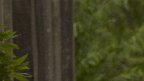 Los padres ya habrían tenido un romance en su juventud.