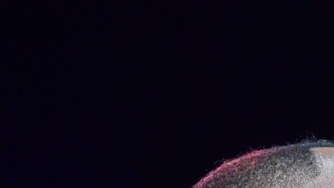 La pelea se realizará el 22 de febrero en el MGM Grand de Las Vegas.