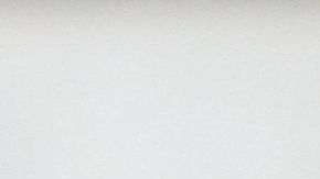 Concejal Ydanis Rodríguez, presidente del Comité de Transporte del Concejo.