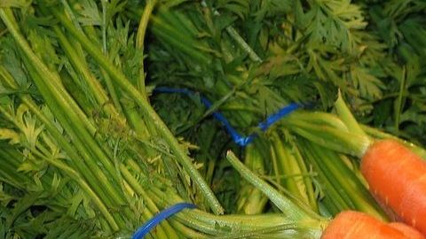 Zanahorias+pxhere