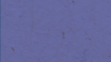 La artista boricua trae sus ritmos alternativos a la ciudad.