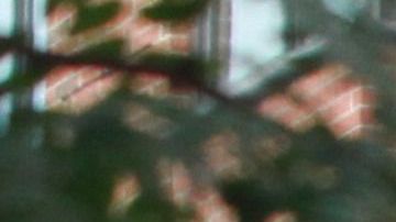 Ventanas con y sin seguridad para los evitar que nos menores se caigan.
Photo Credito Mariela Lombard/El Diario NY.