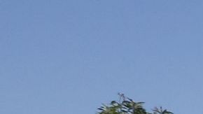 Los jugadores de lotería buscan locales donde se vendieron boletos ganadores.