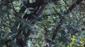 El padre Simon Chinery se convirtió al catolicismo en 2011.