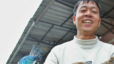 El comercio chino de animales salvajes ha llevado a varias especies a la extinción.