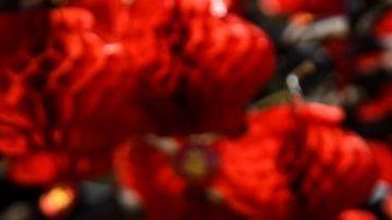 Varios laboratorios se encuentran trabajando para desarrollar una vacuna,