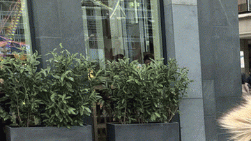 Desirée es solo una de los cientos de venezolanos que viven en centros de refugiados en Leipzig, en el este de Alemania.